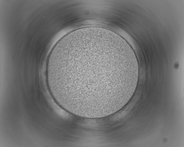 X0000116771098201001281627