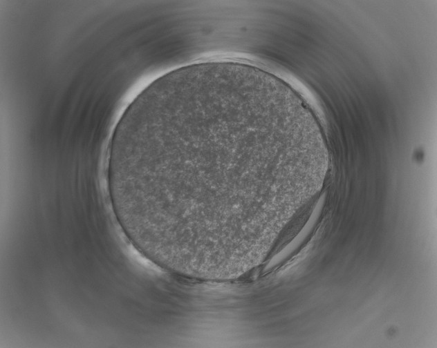 X0000116771102201001281627