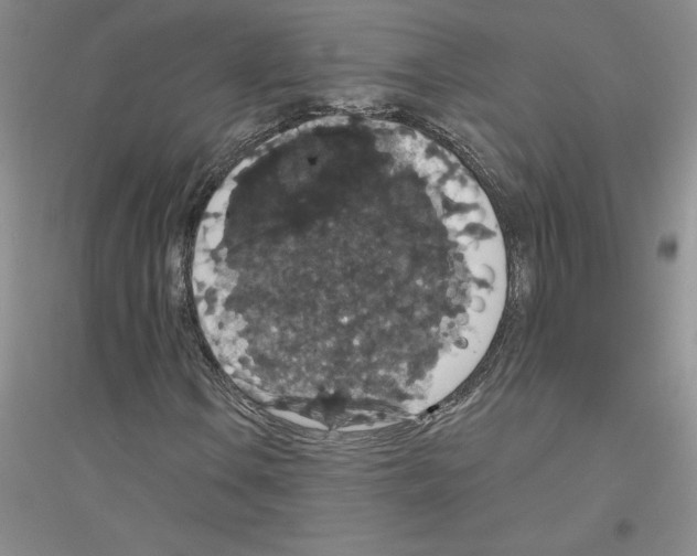 X0000116771106201001281627