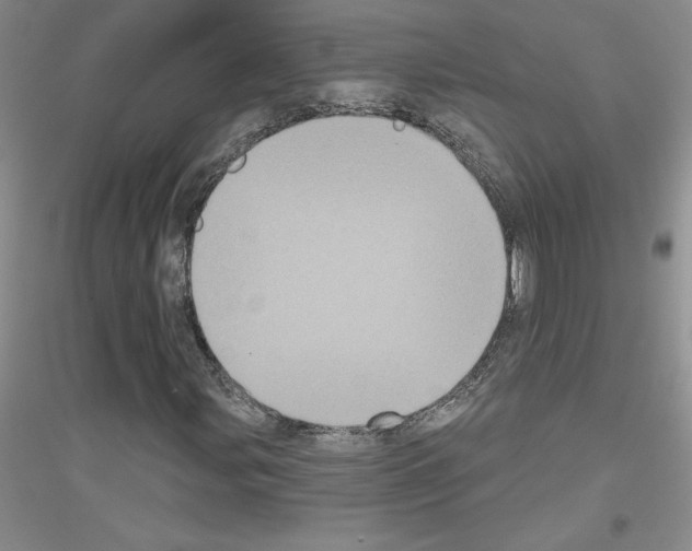 X0000116771107201001281627