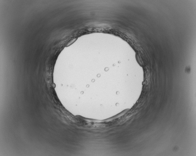 X0000116771109201001281627