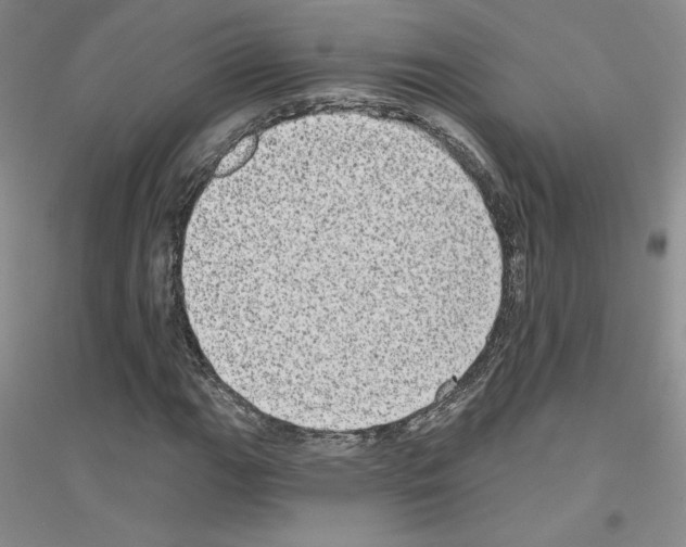 X0000116771111201001281627