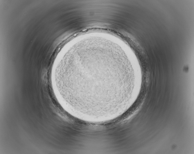 X0000116771113201001281627