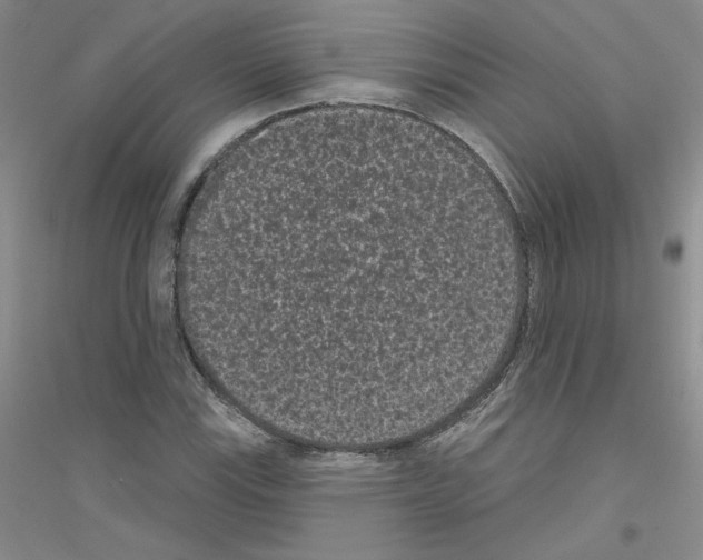 X0000116771115201001281627