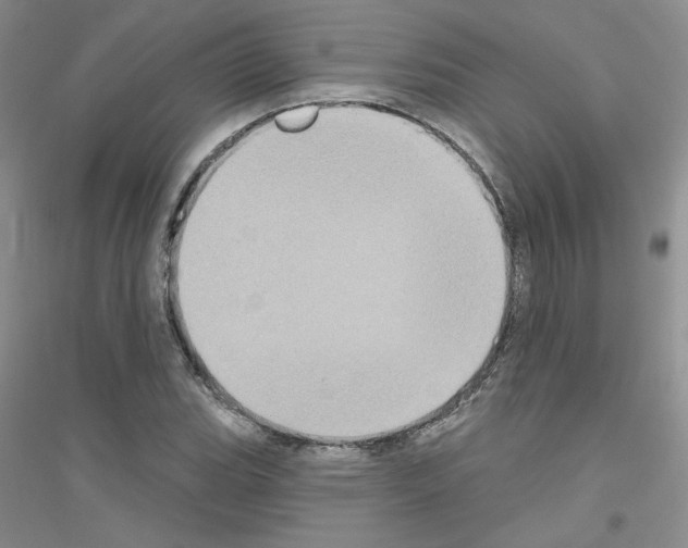 X0000116771119201001281627