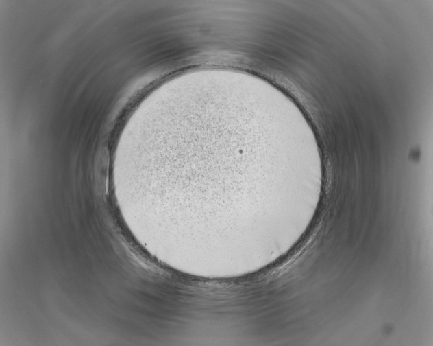 X0000116771123201001281627