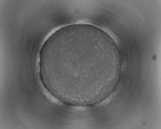 X0000116771126201001281627