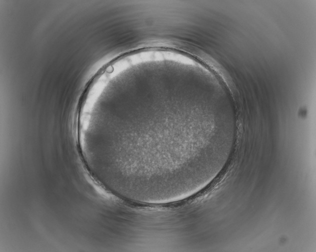 X0000116771127201001281627