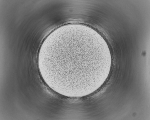 X0000116771129201001281627