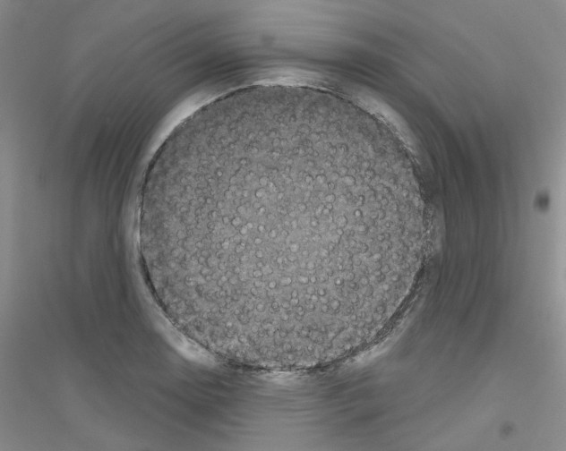 X0000116771130201001281627