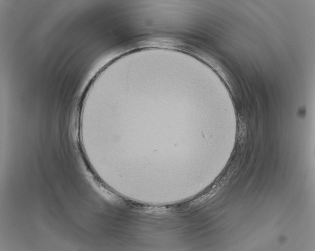 X0000116771131201001281627