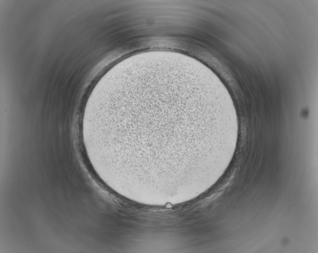 X0000116771133201001281627