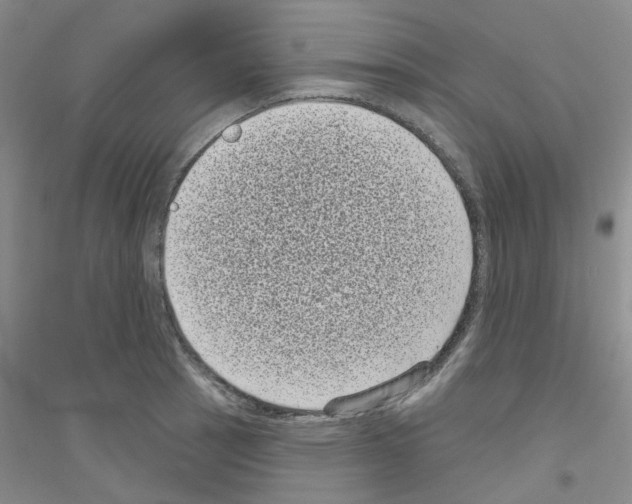 X0000116771137201001281627
