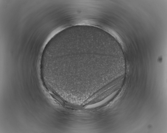 X0000116771138201001281627