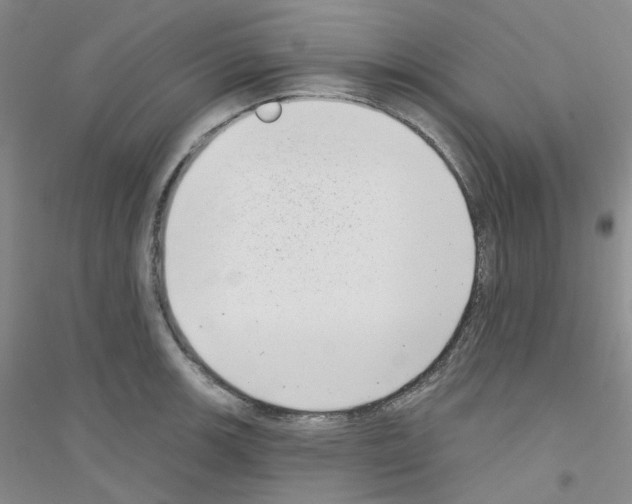 X0000116771139201001281627