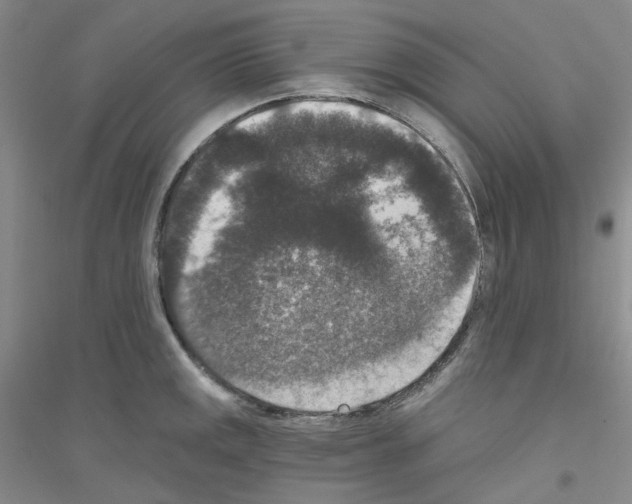 X0000116771141201001281627