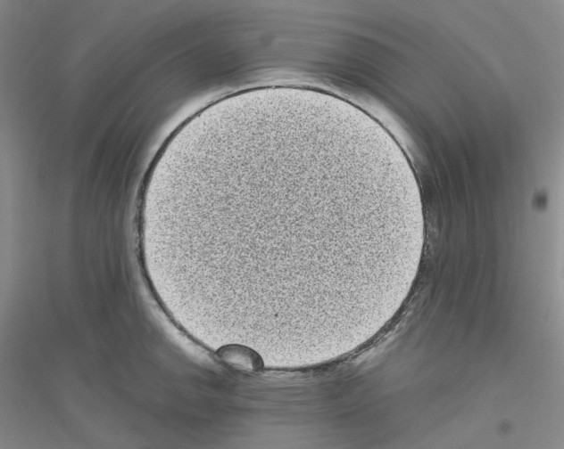 X0000116771142201001281627