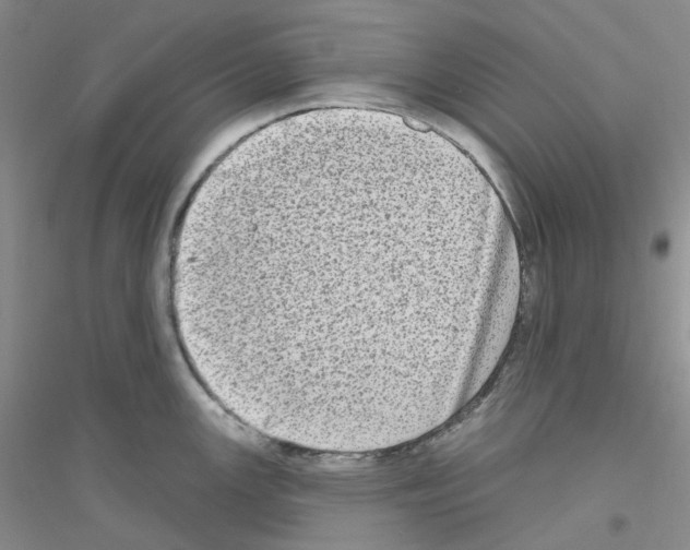 X0000116771147201001281627