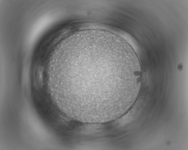 X0000116771150201001281627