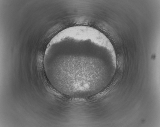 X0000116771154201001281627
