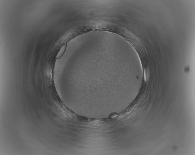 X0000116771155201001281627
