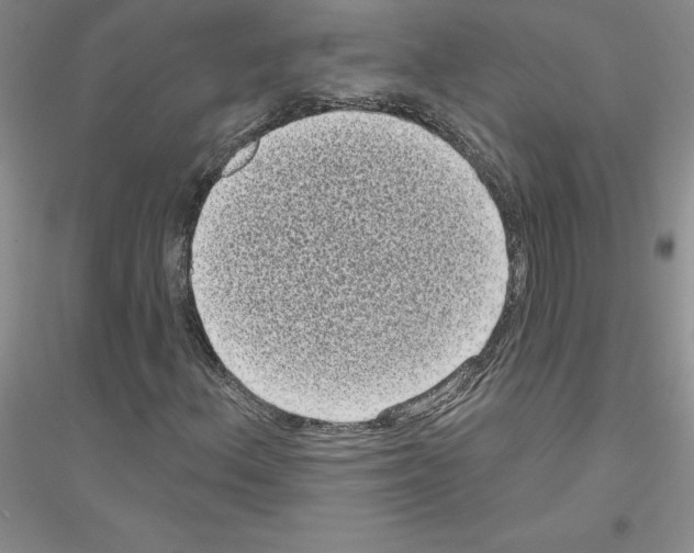X0000116771156201001281627
