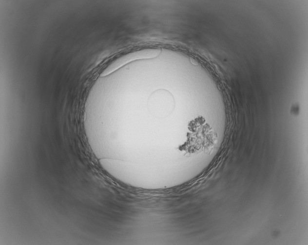 X0000116771157201001281627