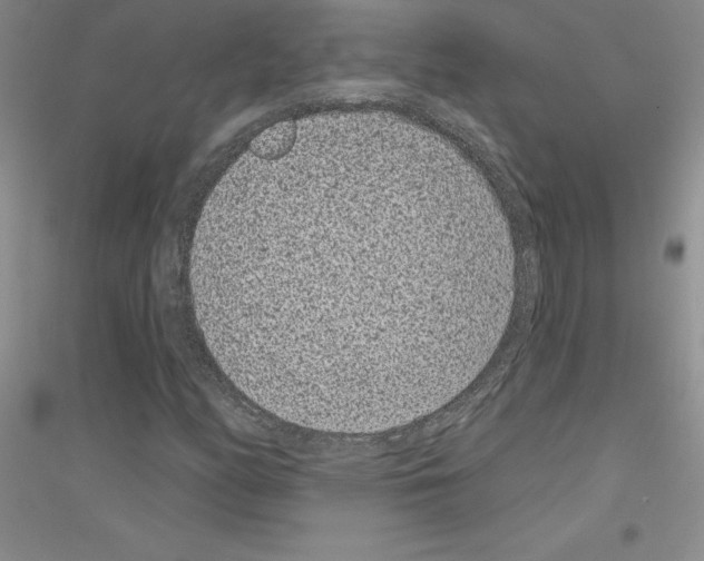 X0000116771158201001281627