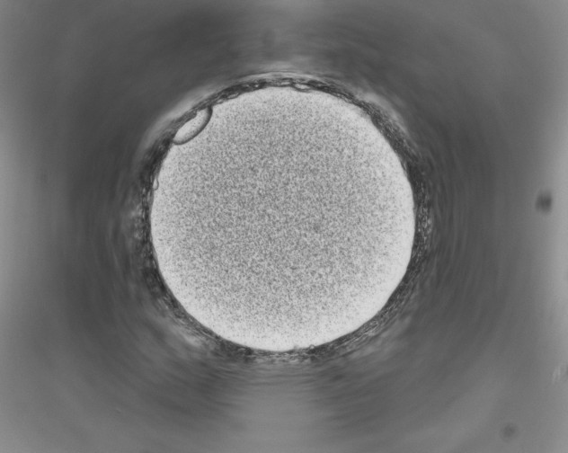X0000116771159201001281627