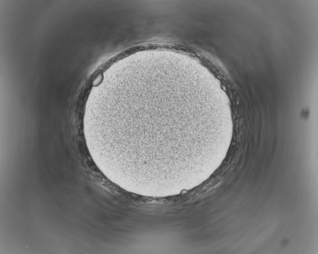 X0000116771160201001281627