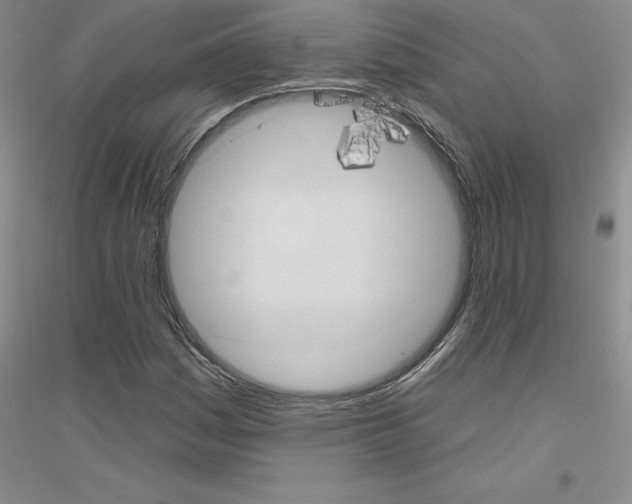 X0000116771161201001281627