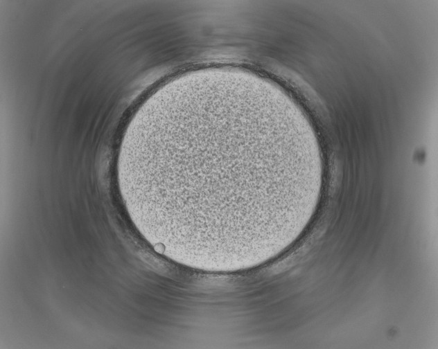 X0000116771162201001281627