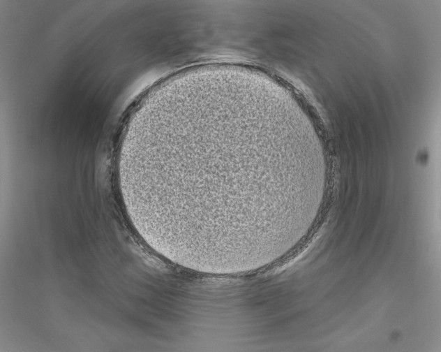 X0000116771163201001281627