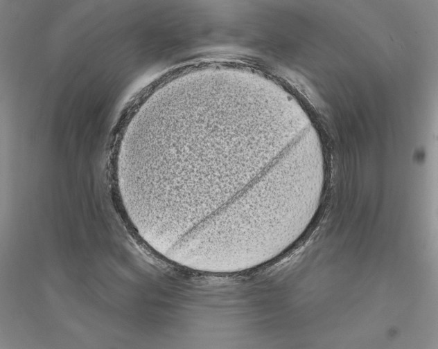 X0000116771164201001281627