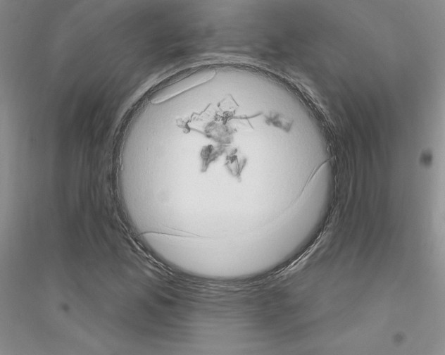X0000116771165201001281627