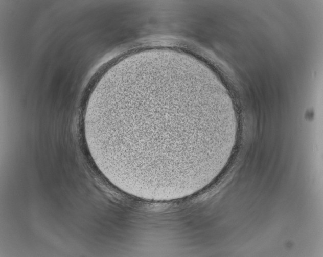 X0000116771166201001281627
