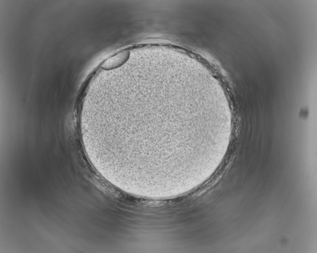 X0000116771167201001281627