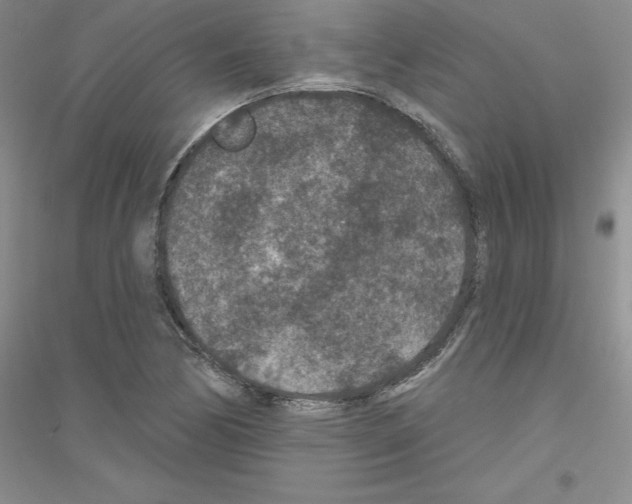 X0000116771170201001281626