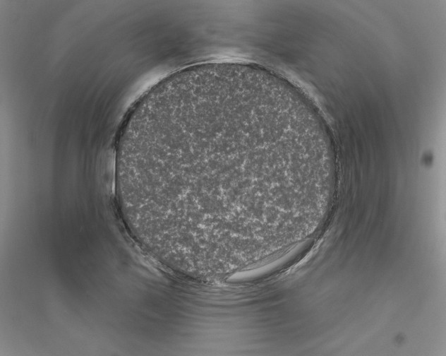 X0000116771171201001281626