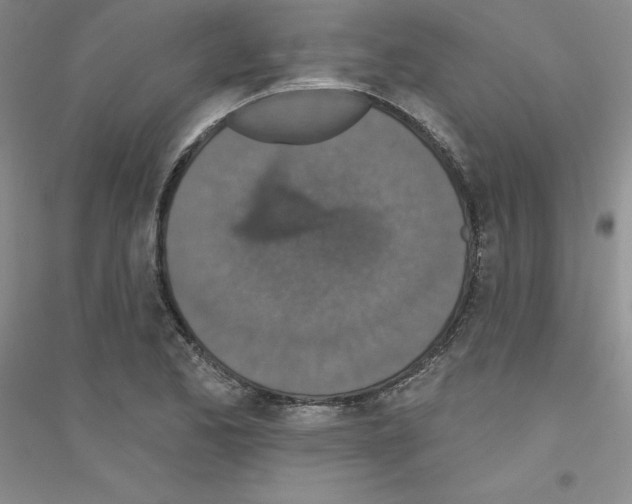 X0000116771173201001281626