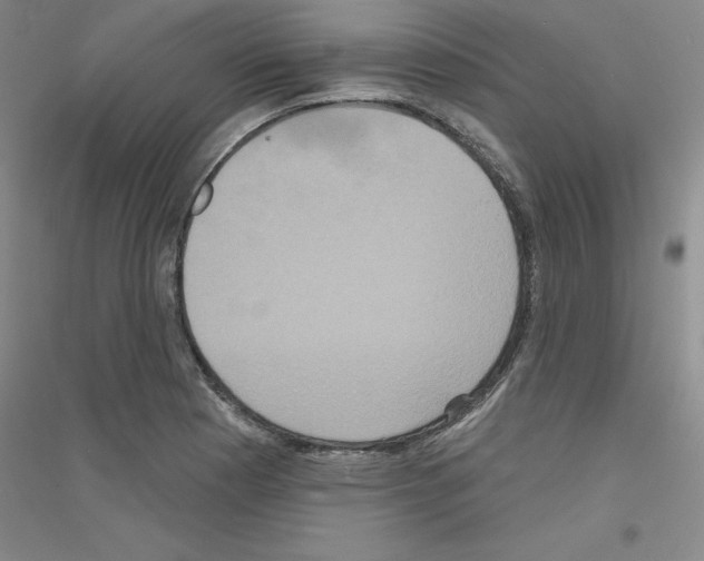 X0000116771177201001281626
