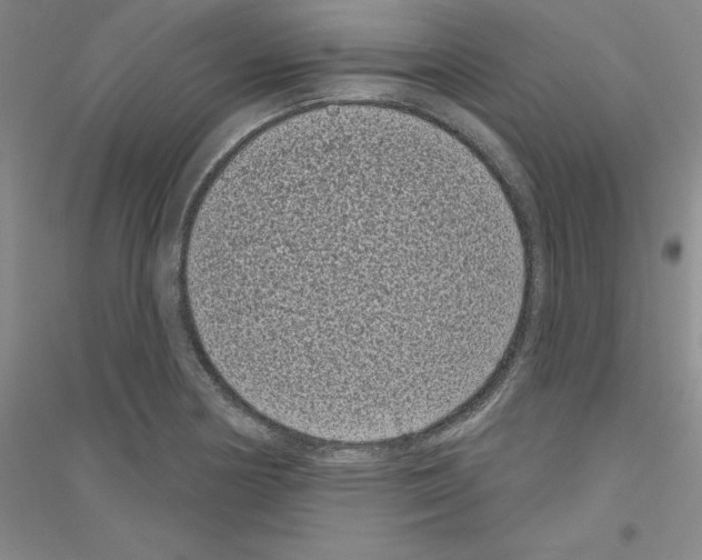 X0000116771178201001281626