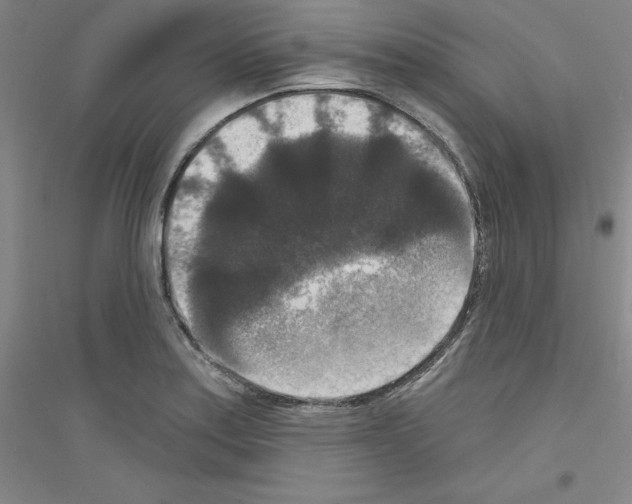 X0000116771179201001281626