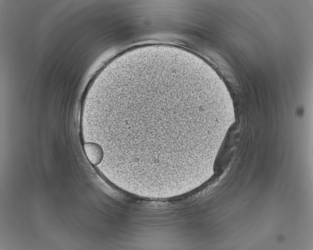 X0000116771180201001281626