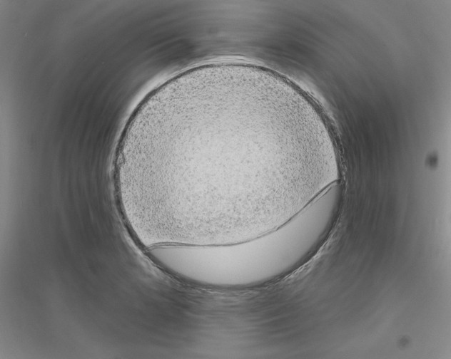 X0000116771181201001281626
