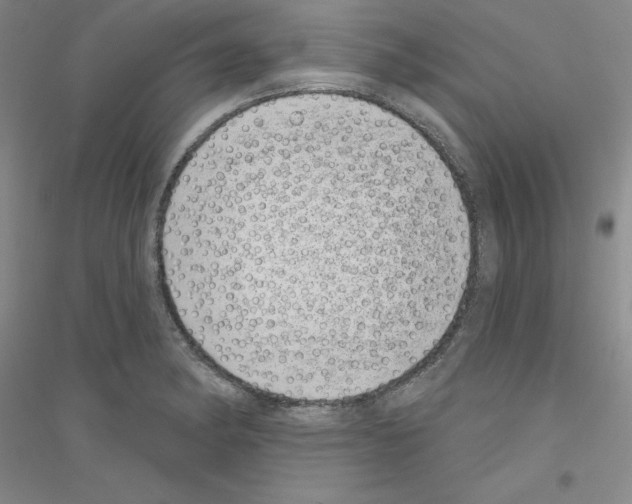 X0000116771182201001281626