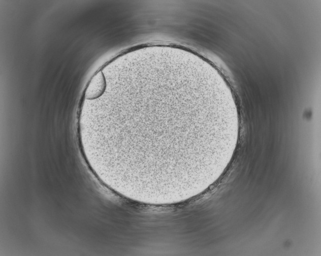 X0000116771183201001281626