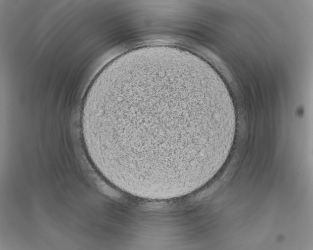 X0000116771186201001281626