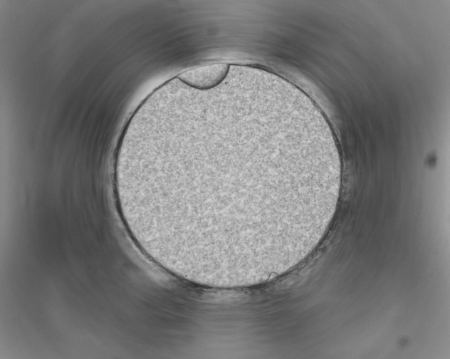 X0000116771187201001281626