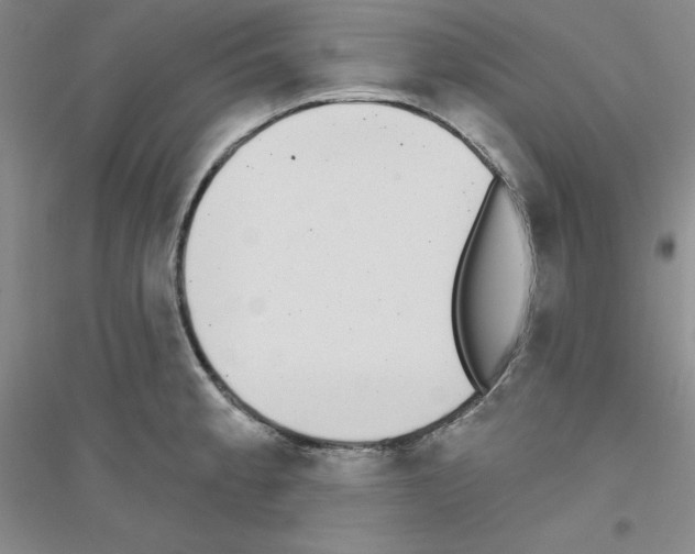 X0000116771189201001281626